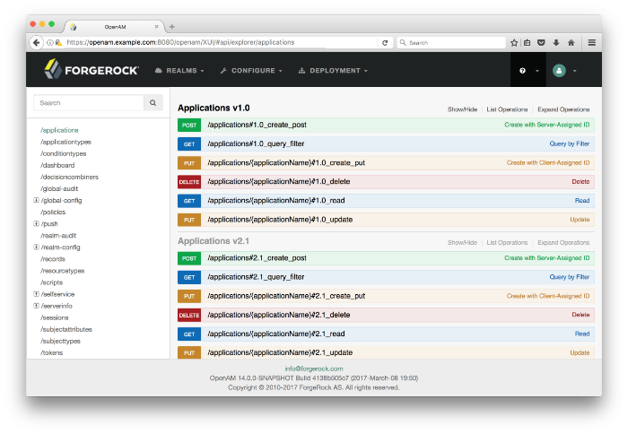 API Explorer page, which is accessible from the AM console.