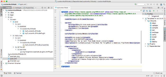 An example project as viewed in an IDE.