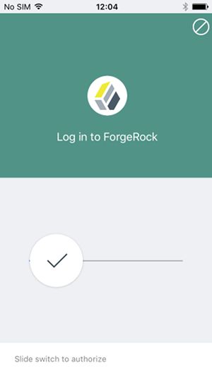 The Push Notification Authentication Screen