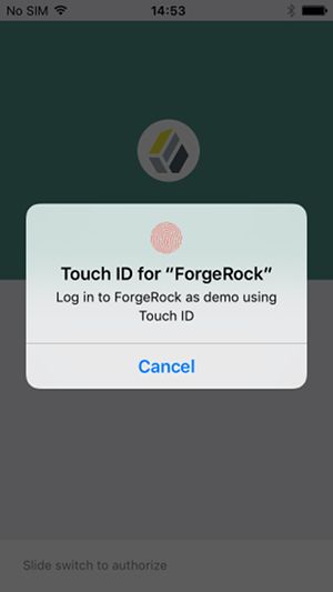 The Touch ID screen