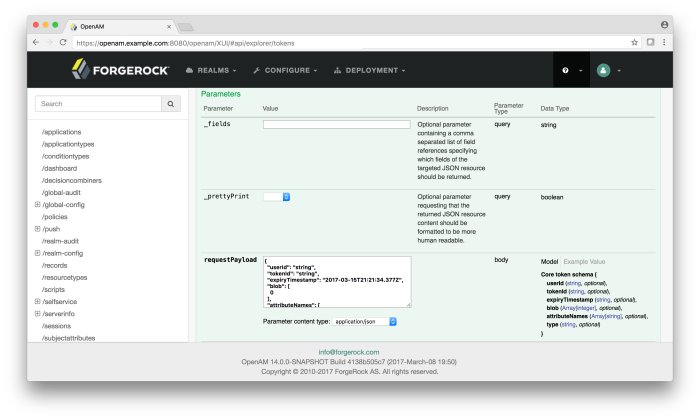 The API Explorer page provides a Try It Out function that allows you to see the possible responses to an example request.
