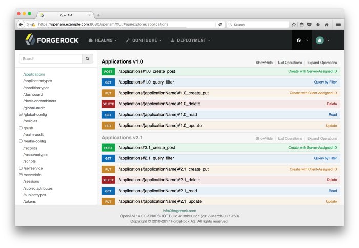 API Explorer page, which is accessible from the AM console.