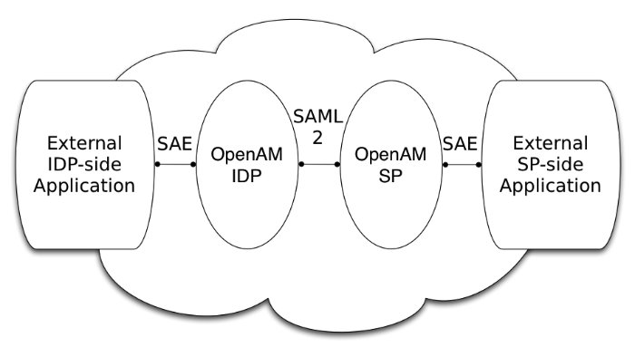 External applications use SAE to participate in federation.