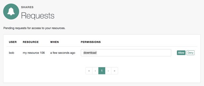 The consent screen presented to the resource owner.