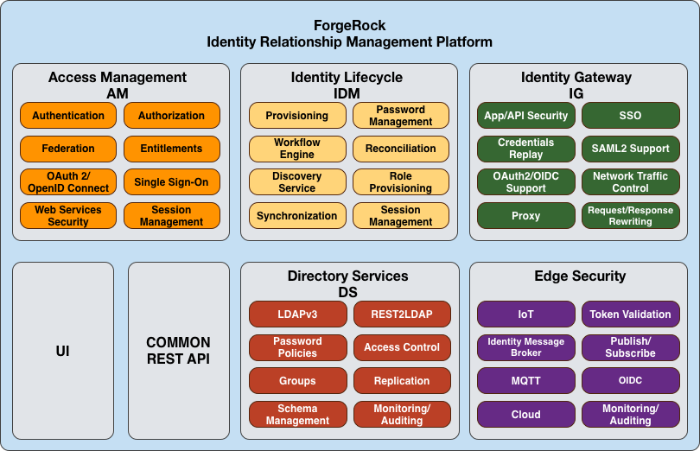 ForgeRock Identity Platform