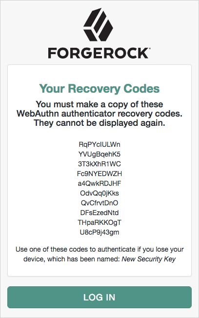 User's view of the Recovery Code Display node.