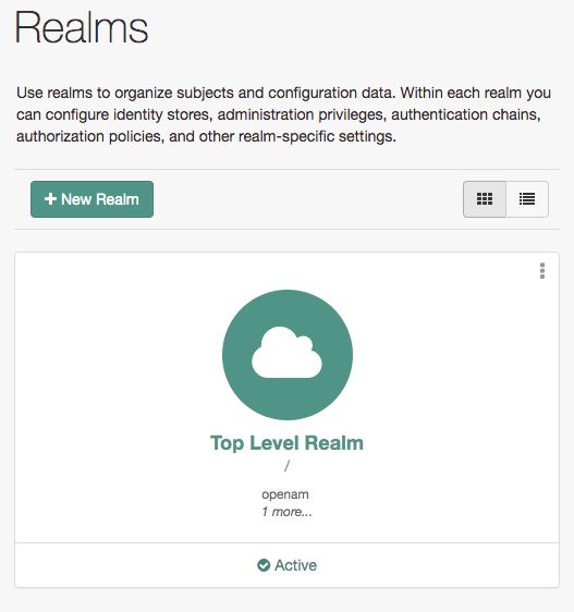 AM Realms
