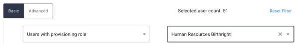 iga basic filter user provisioning role