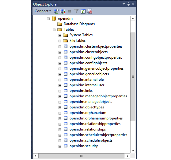Default tables in the openidm MS SQL database