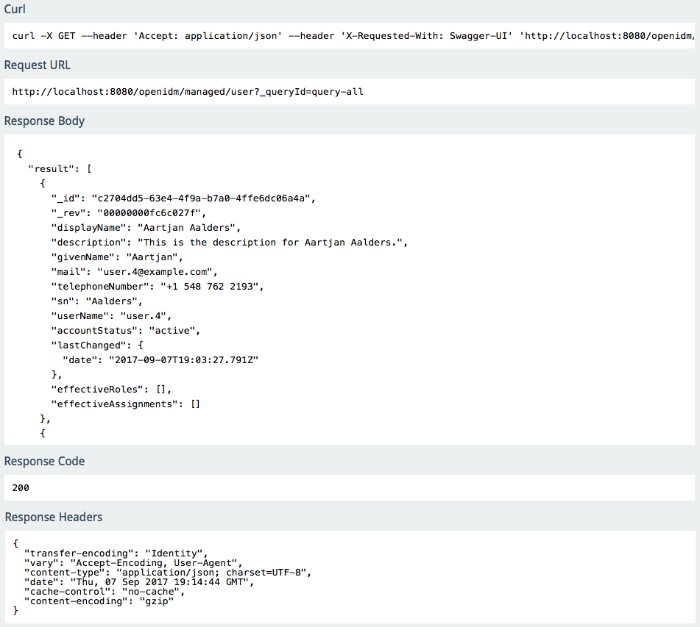 API Explorer: REST Output
