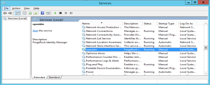 Running as a Windows Service