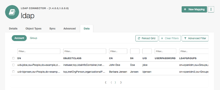 Image shows the data tab for a connected LDAP resource
