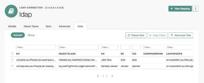 Image shows the data tab for a connected LDAP resource