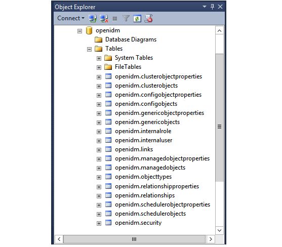 Default tables in the openidm Microsoft SQL database