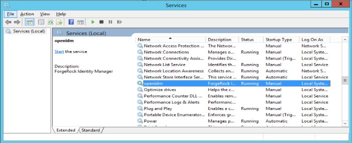 Running as a Windows Service
