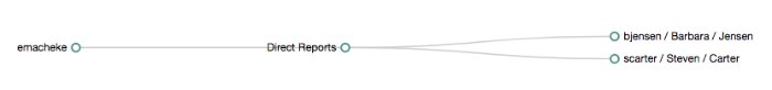 Relationships graph showing manager and direct reports