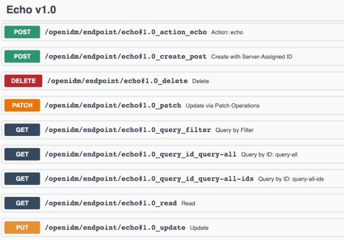 API documentation for the sample "Echo" custom endpoint
