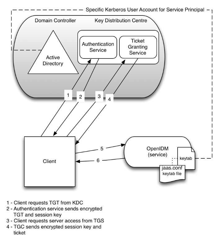 Client Authenticates to IDM Using a Kerberos Ticket