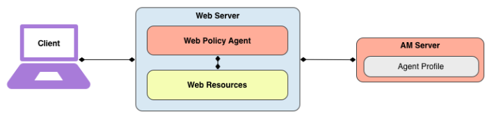 Diagram of web policy agent use