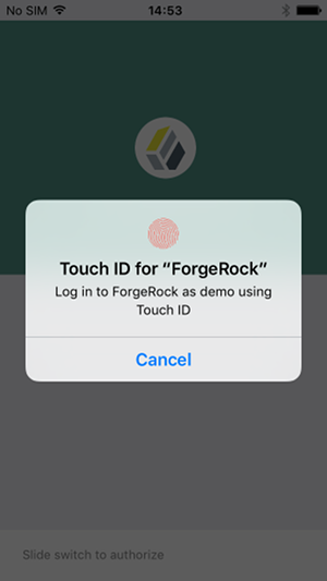 The Touch ID screen
