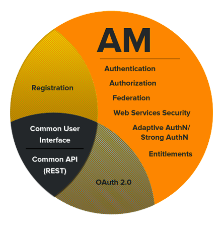 OpenAM capabilities in a single image