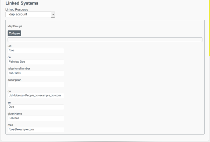 New user record for fdoe