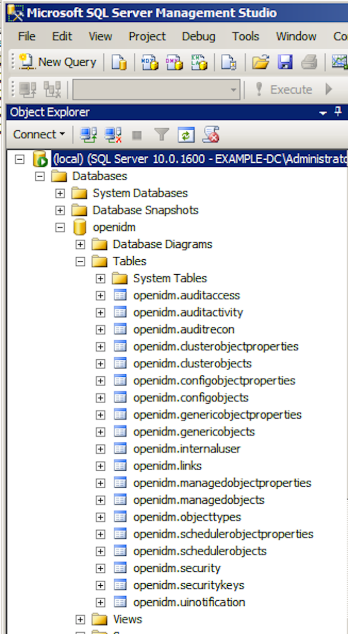 Default tables in the openidm MS SQL database