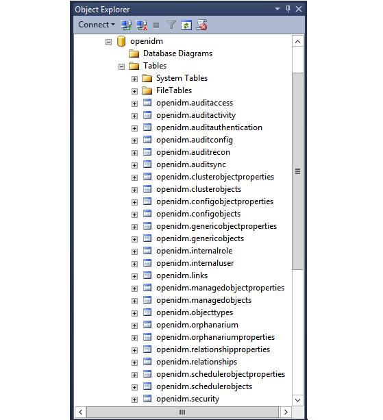 Default tables in the openidm MS SQL database