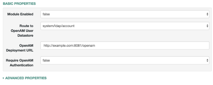 OPENAM_SESSION Basic Properties