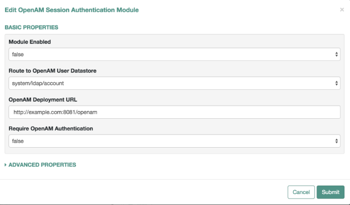 OPENAM_SESSION Basic Properties