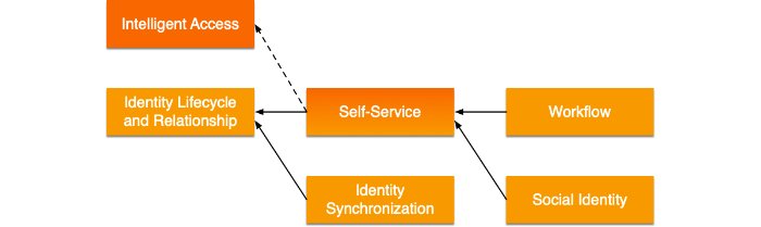 Illustrates dependencies among IDM modules.